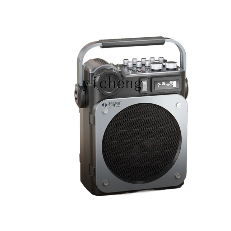 D6 High-Power Live Broadcast M - Speakers ulasan dan harga
