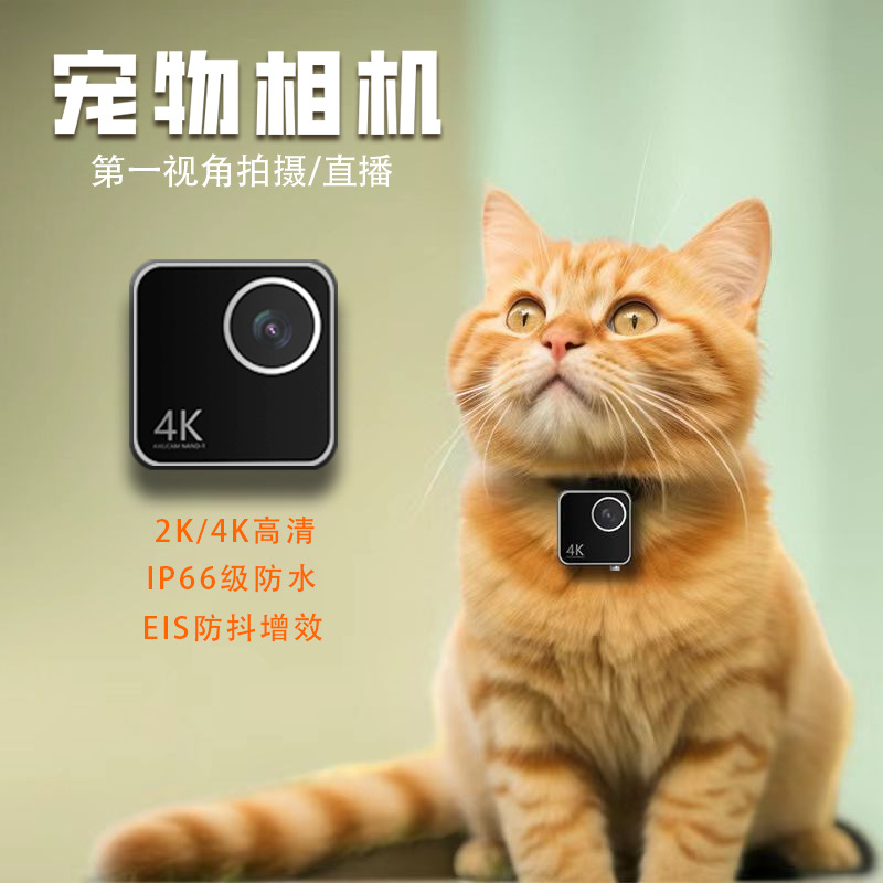 Animal cat dog pet camera firs - Cameras ulasan dan harga